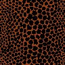 leopard9.jpg