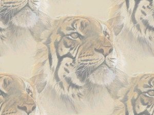 tiger2.jpg