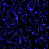 bluef.gif