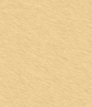 parchment.jpg