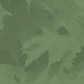 Green-04.jpg