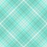 cyanplaid.jpg