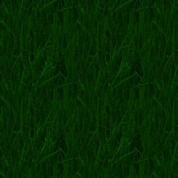 fern.jpg