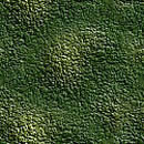 grn-bk-154.jpg