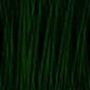 grn-bk-177.jpg