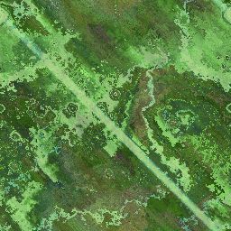 grn-bk-210.jpg
