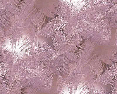 pinkfeathers.jpg
