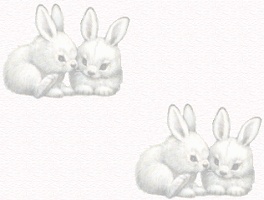 bg-bunny.jpg