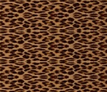 leopard8.jpg