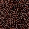 leopard9.jpg