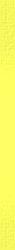 yellowribbon.jpg