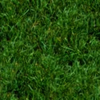 grass-01.jpg