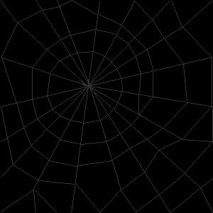 grey_spiderweb.jpg
