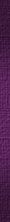 purpleribbon.jpg