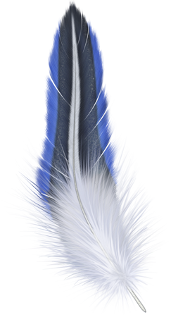 feather09