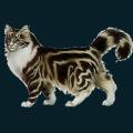 cats-dogs-06.png