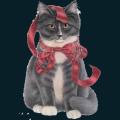 cats-dogs-15.png
