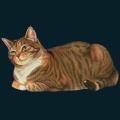 cats-dogs-19.png