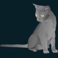 cats-dogs-22.png