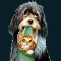cats-dogs-33.png