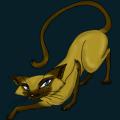 cats-dogs-35.png