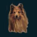 cats-dogs-37.png