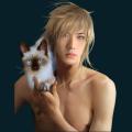 cats-dogs-41.png