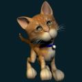 cats-dogs-43.png