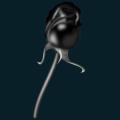 goth-005.png