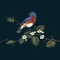 Berrybranch-Bird.png