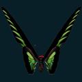 Butterfly-Green.png