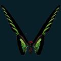 Butterfly-Green.png