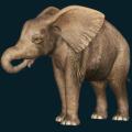 Elephant-Baby.png