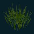 Grass1.png