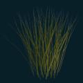 Grass2.png