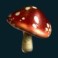 Mushroom1.png