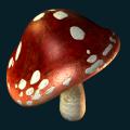 Mushroom2.png