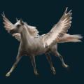 Pegasus-Small.png