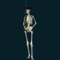 Skeleton-Pirate2.png