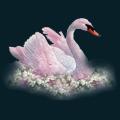 Swan-Flowers.png