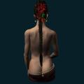 Woman-Back.png