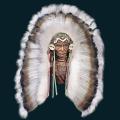 native-01.png