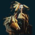 native-09.png