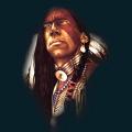 native-16.png