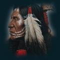 native-23.png