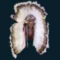 native25.png