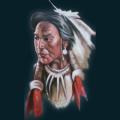 native29.png
