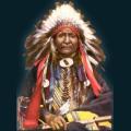 native32.png