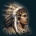 native41.png