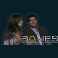 bones-e1.png